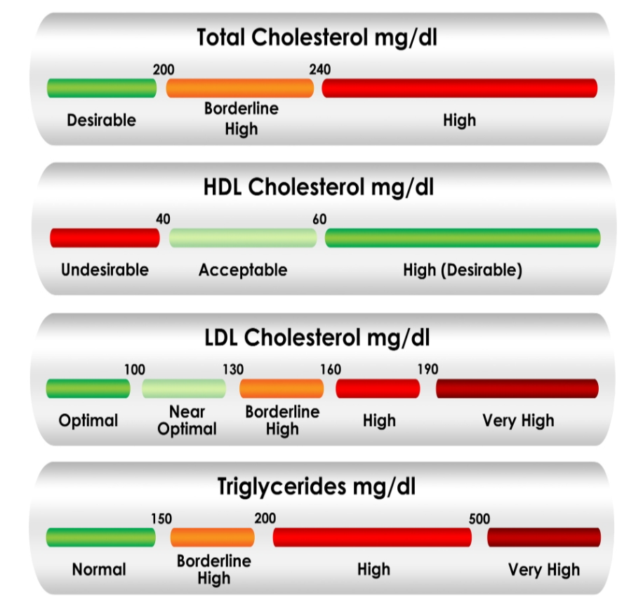 Understanding Cholesterol Levels What You Need To Know