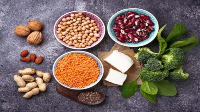 All about Vegetarian Protein | Sources and Easy Habits