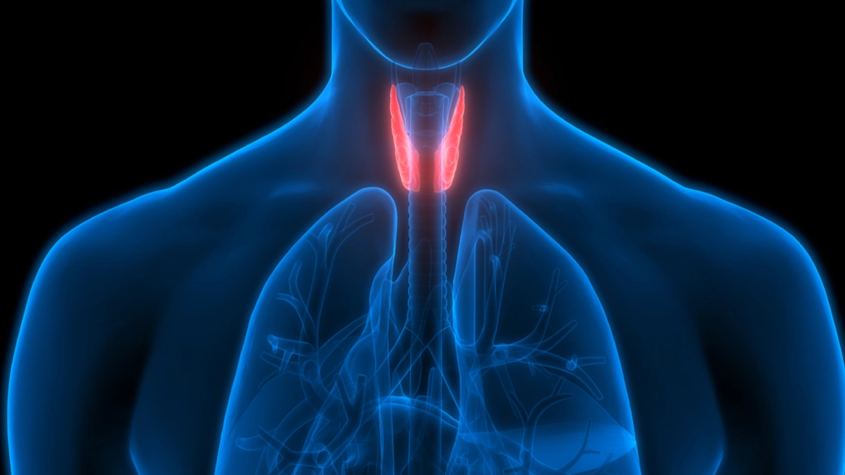 How to Deal with Thyroid